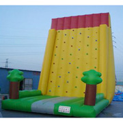 giant inflatable sports games